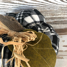 Load image into Gallery viewer, Plush Pumpkins