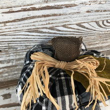 Load image into Gallery viewer, Plush Pumpkins