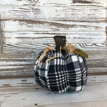 Load image into Gallery viewer, Plush Pumpkins