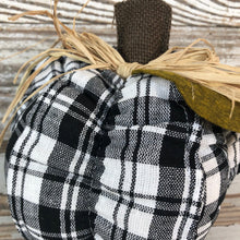 Load image into Gallery viewer, Plush Pumpkins