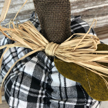 Load image into Gallery viewer, Plush Pumpkins