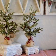 Load image into Gallery viewer, Old World Pedestal Risers