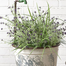 Load image into Gallery viewer, Garden Faucet Flower Buckets