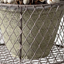 Load image into Gallery viewer, Hanging Pot With Wire Basket
