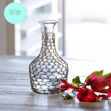 Load image into Gallery viewer, Chicken Wire Jar Collection