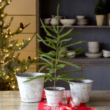 Load image into Gallery viewer, Whitewash Tin Pot Covers