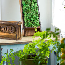 Load image into Gallery viewer, Decorative Brick Mold