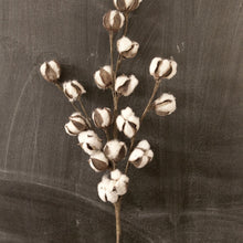 Load image into Gallery viewer, Large Cotton Stem