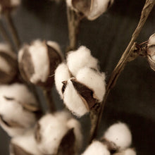 Load image into Gallery viewer, Large Cotton Stem