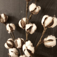 Load image into Gallery viewer, Large Cotton Stem
