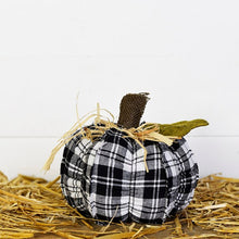 Load image into Gallery viewer, Plush Pumpkins