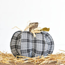 Load image into Gallery viewer, Plush Pumpkins