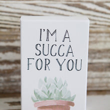 Load image into Gallery viewer, Succulent Bundle