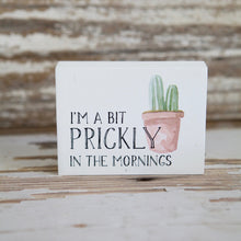 Load image into Gallery viewer, Succulent Bundle