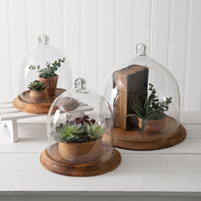 Load image into Gallery viewer, Large Glass Bell Shaped Cloche with Wood Base
