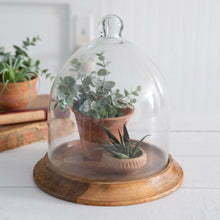 Load image into Gallery viewer, Small Glass Bell Shaped Cloche with Wood Base
