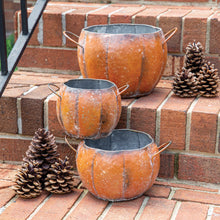 Load image into Gallery viewer, Fall Pumpkin Planter Set
