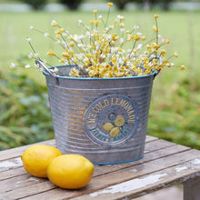 Load image into Gallery viewer, Ice Cold Lemonade Bucket
