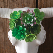 Load image into Gallery viewer, Longhorn Skull with Faux Succulents
