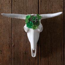 Load image into Gallery viewer, Longhorn Skull with Faux Succulents
