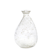 Load image into Gallery viewer, Dylan Organic Seeded Glass Vase
