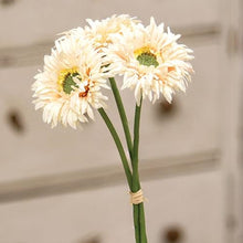Load image into Gallery viewer, Cream Pink Gerbera Daisy Bouquet
