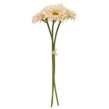 Load image into Gallery viewer, Cream Pink Gerbera Daisy Bouquet
