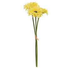 Load image into Gallery viewer, Light Yellow Gerbera Daisy Bouquet
