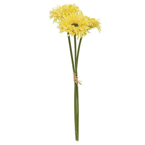 Light Yellow Gerbera Daisy Bouquet