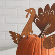 Load image into Gallery viewer, Turkey Pumpkin Decorating Pick Set
