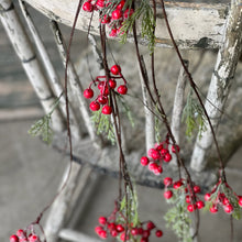 Load image into Gallery viewer, Icy Berry &amp; Cedar Vine
