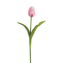 Load image into Gallery viewer, Tulip Stem
