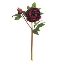 Load image into Gallery viewer, Burgundy Peony Stem
