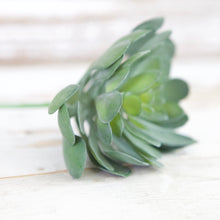 Load image into Gallery viewer, Echeveria Succulent Pick
