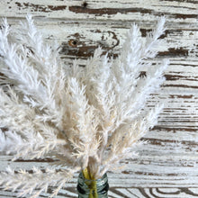 Load image into Gallery viewer, Bailey White Fluffy Stems

