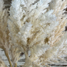 Load image into Gallery viewer, Bailey White Fluffy Stem

