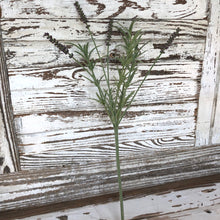 Load image into Gallery viewer, Lavender Stem
