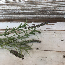 Load image into Gallery viewer, Lavender Stem
