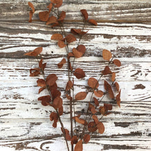 Load image into Gallery viewer, Burnt Orange Penny Leaf Spray
