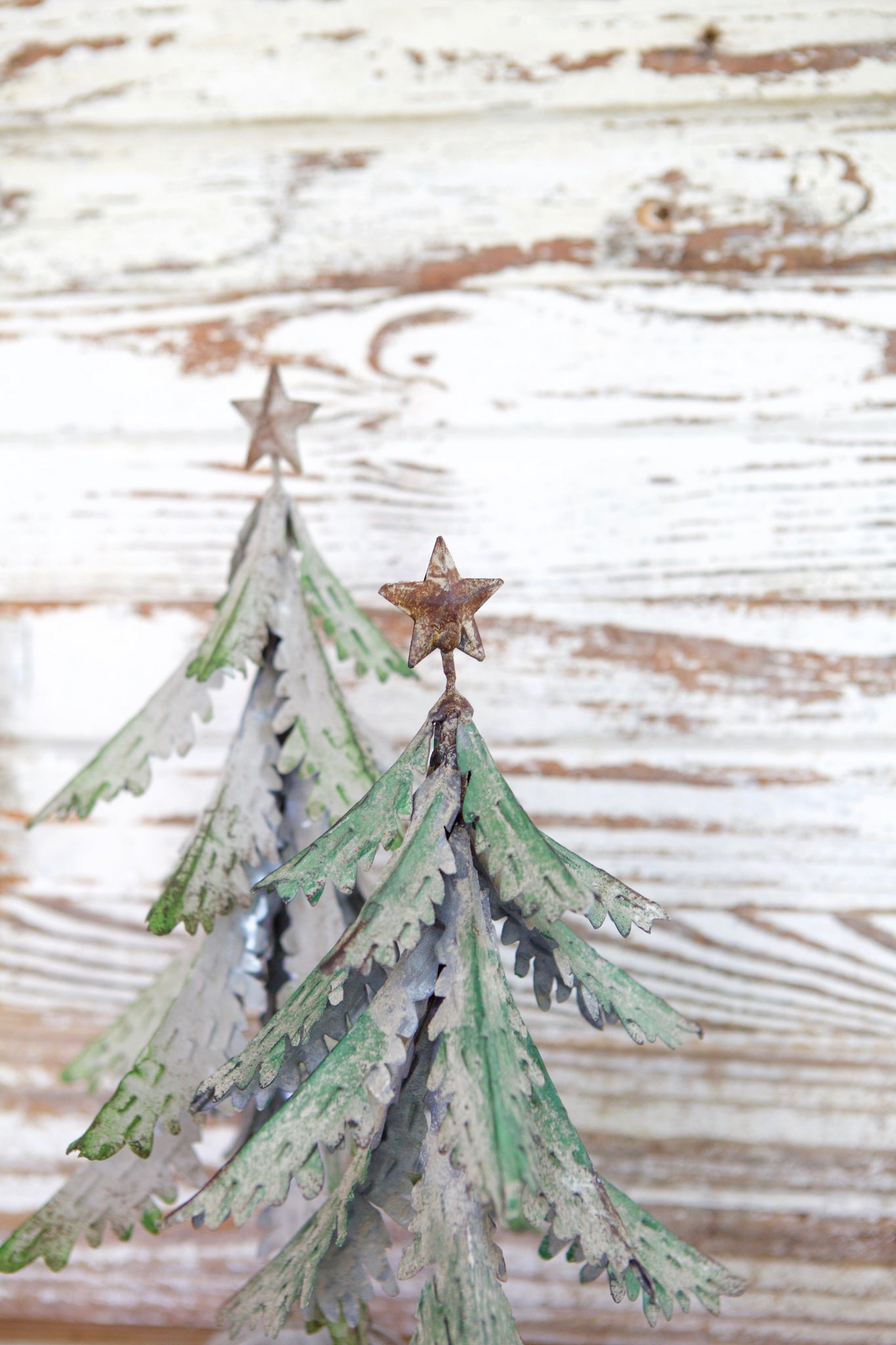 Everfir Tree Set With Star – The Home Emporium