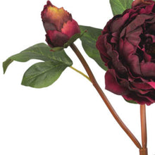 Load image into Gallery viewer, Burgundy Peony Stem
