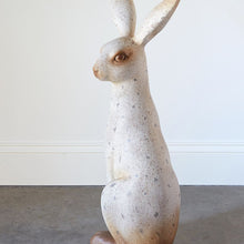 Load image into Gallery viewer, Large Speckled Rabbit
