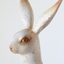 Load image into Gallery viewer, Large Speckled Rabbit
