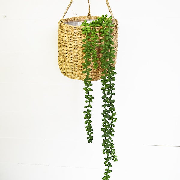 fake trailing succulent Hanging Succulent Beans